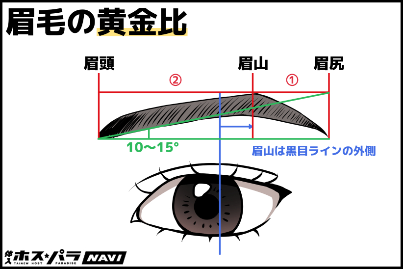 眉毛の黄金比